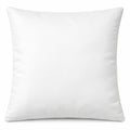 Soft & Shiny - 2 Tone Velvet Cushions