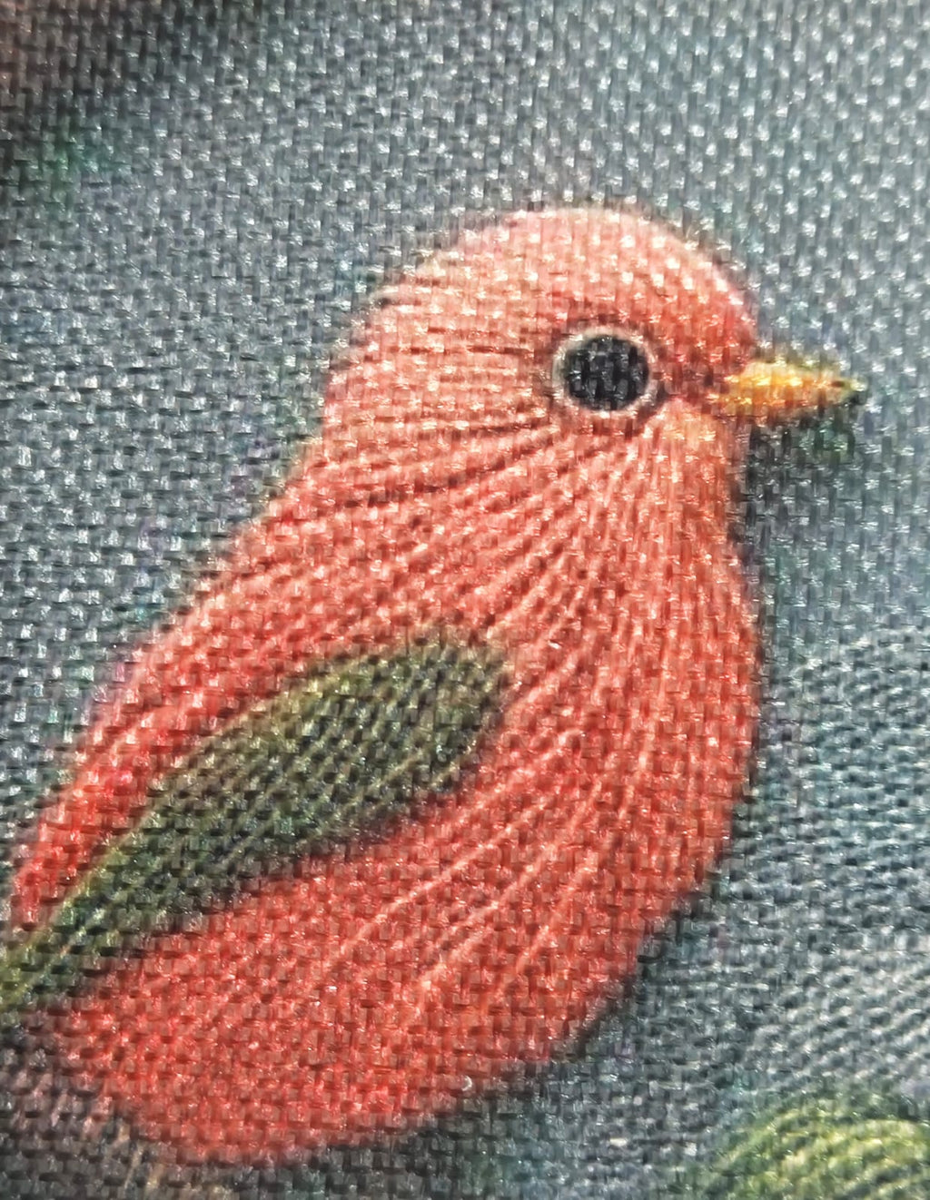Decorative Songbirds Cushions