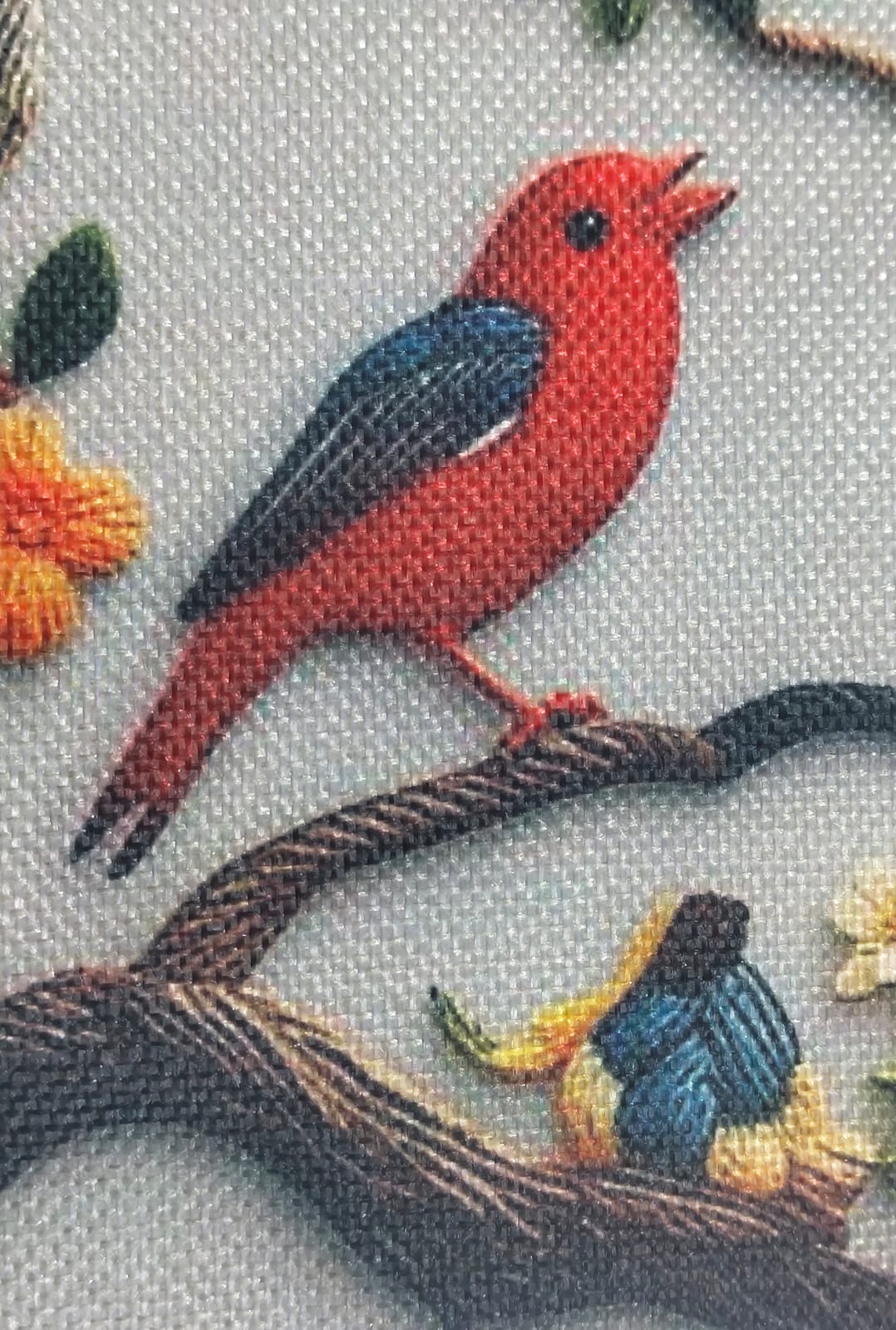 Decorative Songbirds Cushions